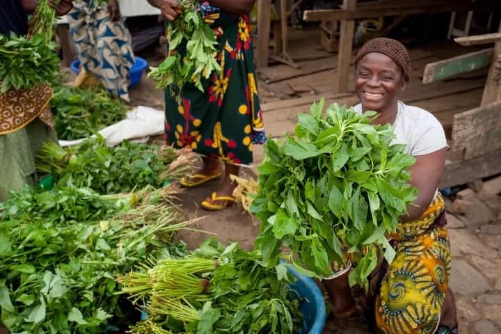 Wajoni Farming Agriculture Invest Investing nigeria agro agribusiness